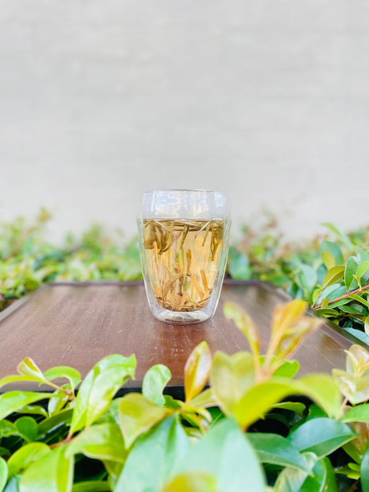Premium Whole Leaf Jasmine Green Tea | Pure, Floral, Uplifting