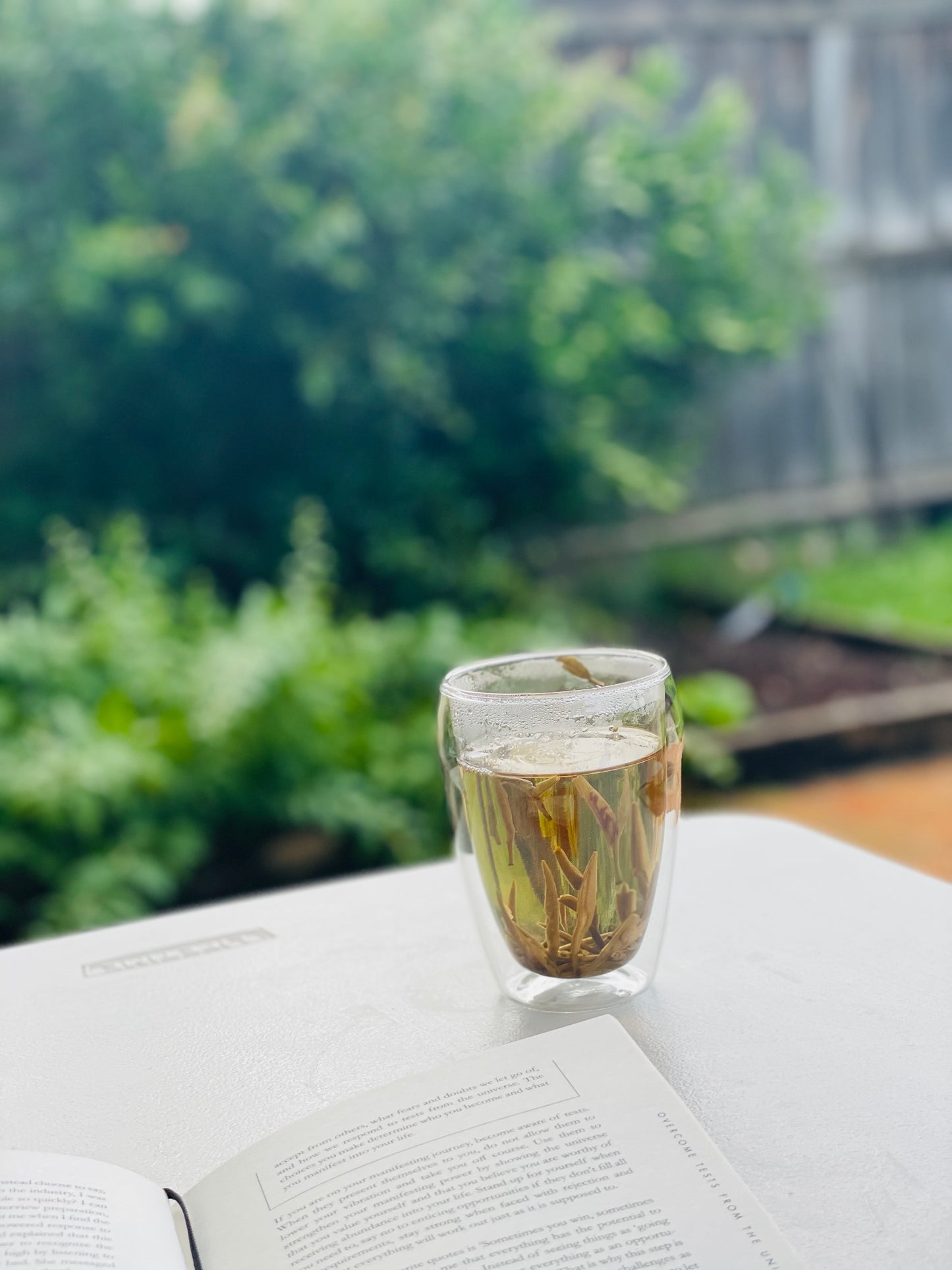 Premium Whole Leaf Jasmine Green Tea | Pure, Floral, Uplifting