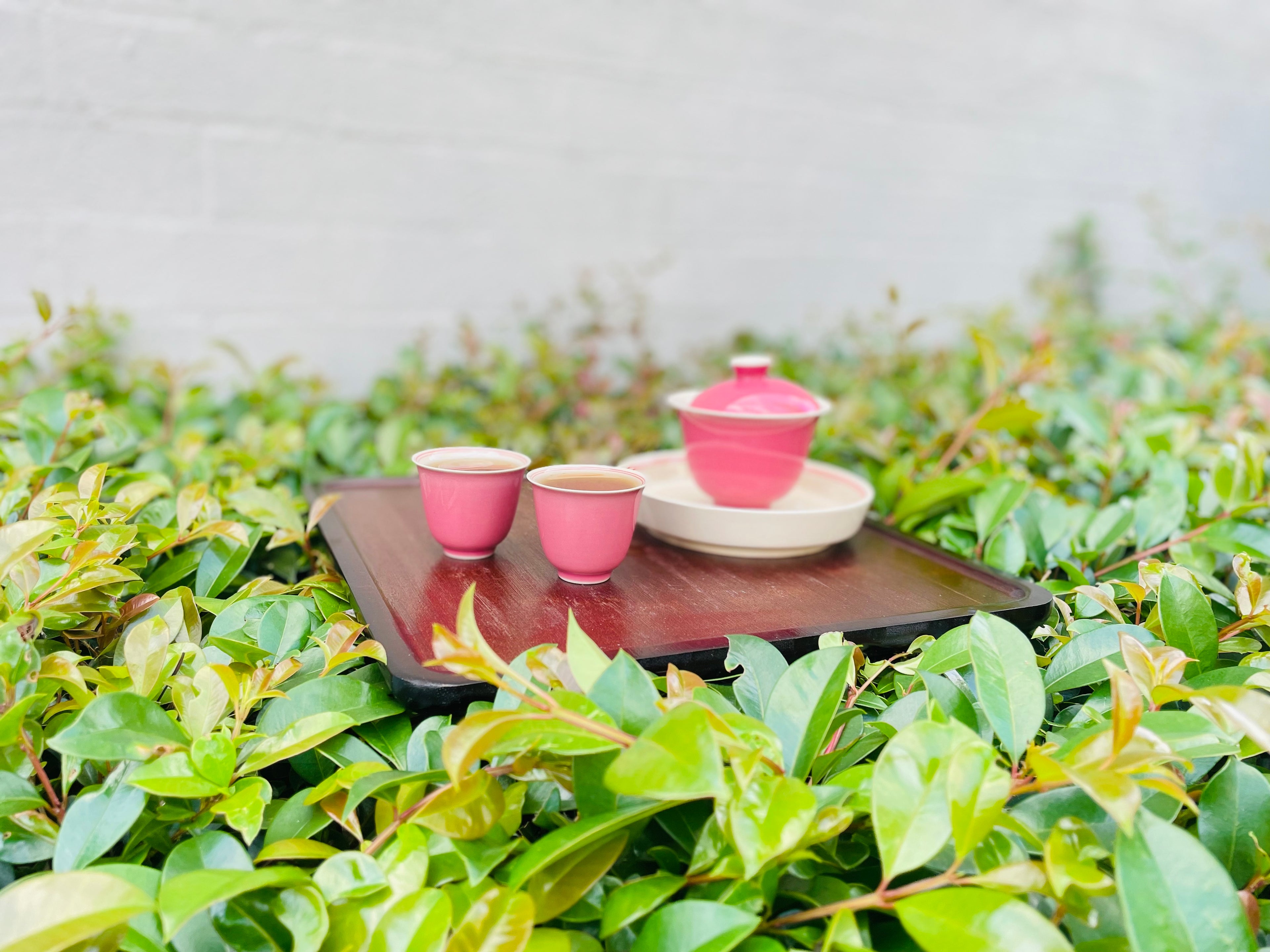 Premium Whole leaf tea