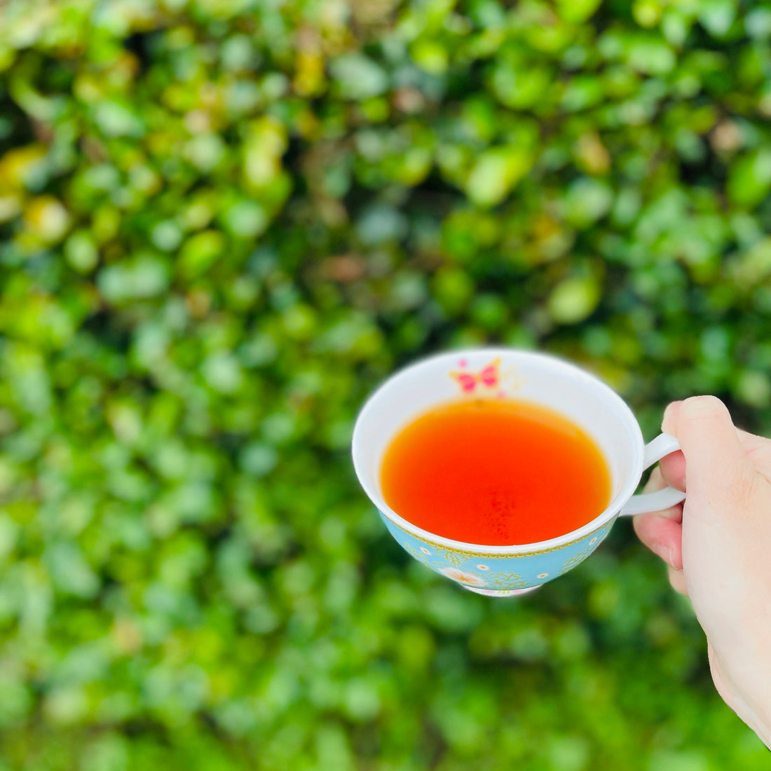 Why drinking tea in the morning is a great way to start your day?