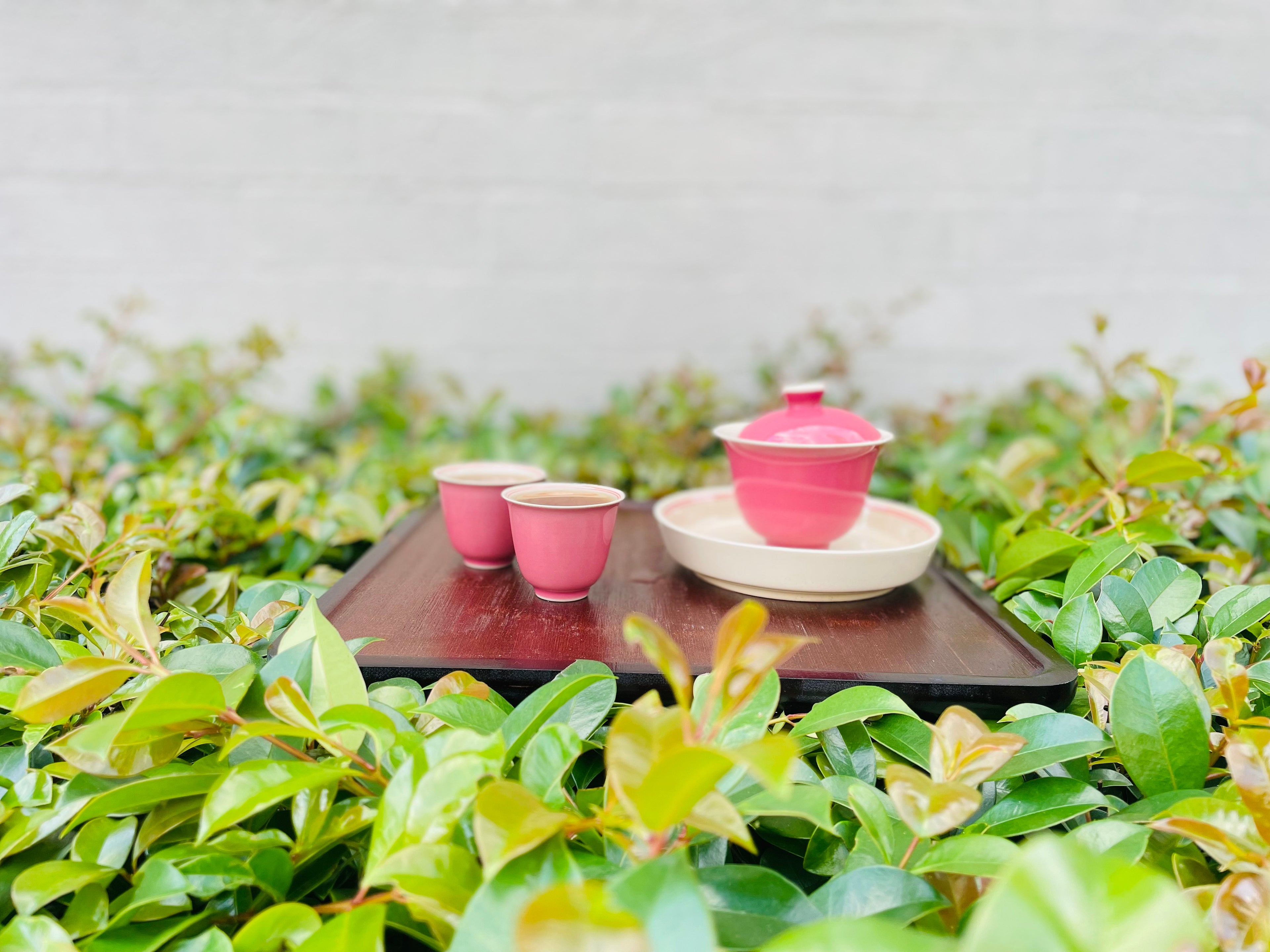 Traditional GongFu Tea  brewing for calm and mindful daily rituals