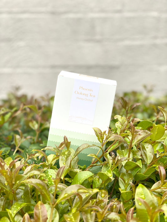 The80stea Phoenix Oolong Tea Honey Orchid Dancong Mi Lan Xiang in white and Green Packaging
