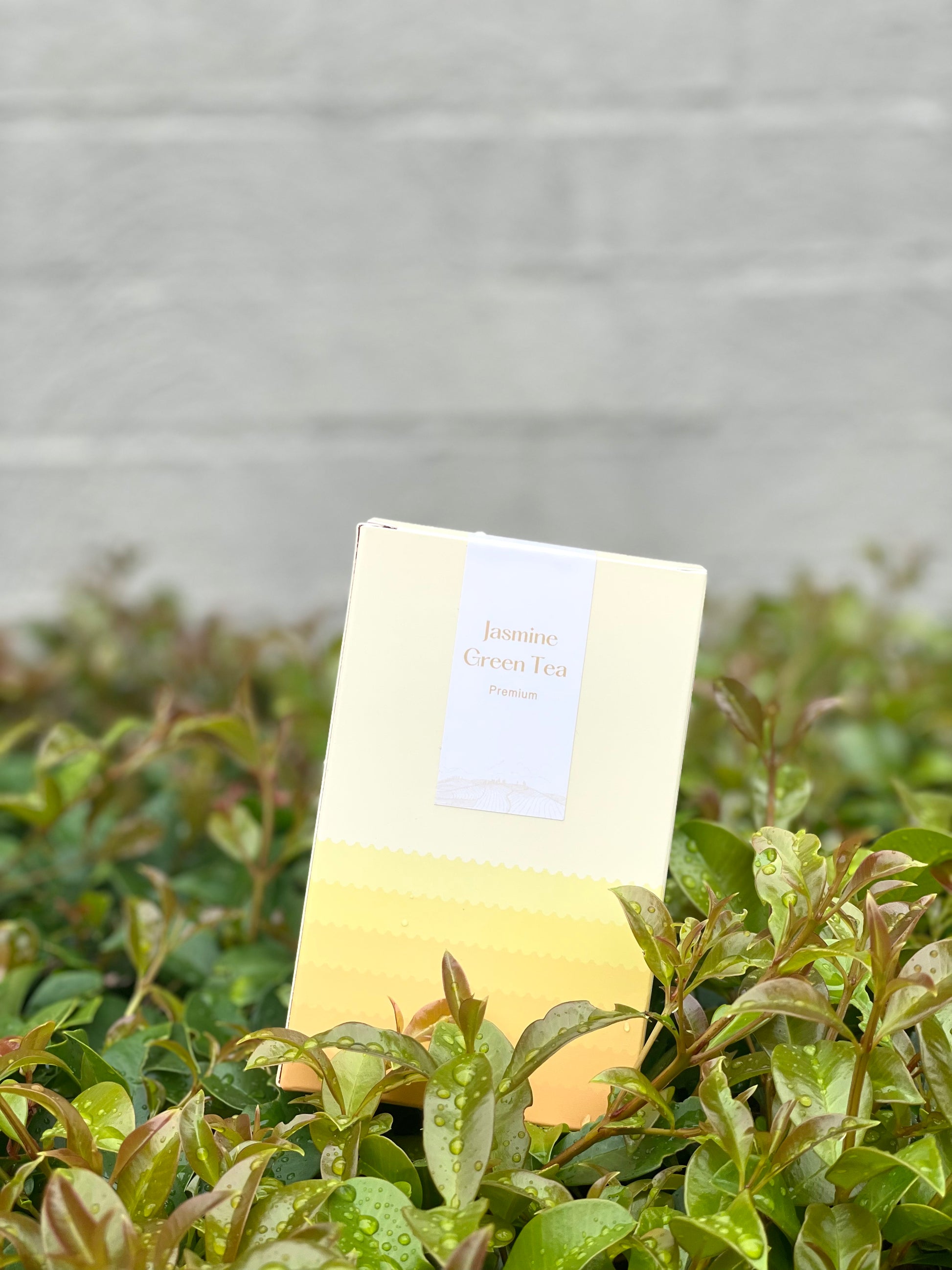 The80stea Premium Jasmine Green Tea - a pack of 50g. Direct From Farm. Great for morning focusing and spring rejuvenation. 